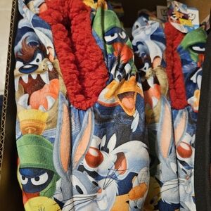 Looney Tunes Slippers